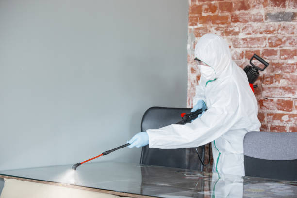 Mold Removal & Remediation